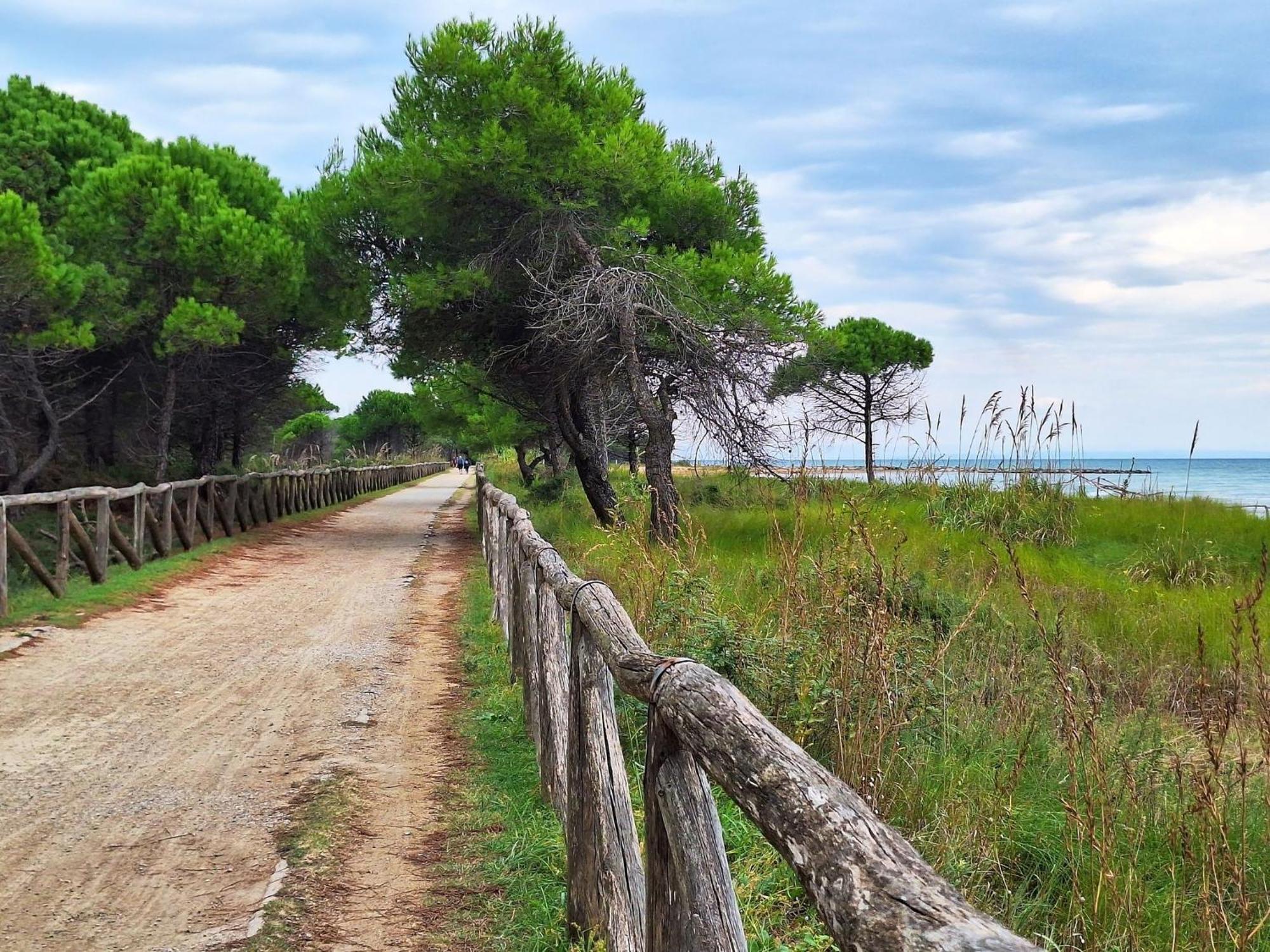 Lovely Modern In - Beahost * Bibione